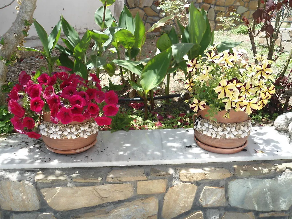Hotel Olympos Neos Marmaras